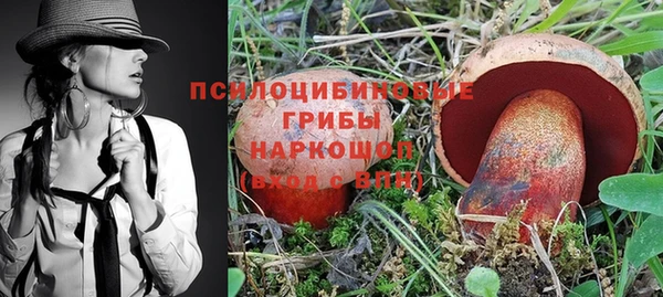 синтетический гашиш Алексин