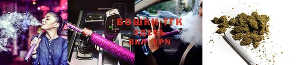 соль ск Алексеевка